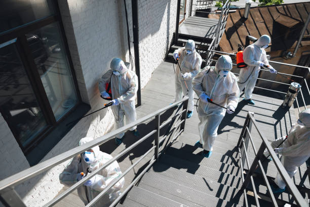 Best Mold Documentation for Insurance Claims  in Drexel Hill, PA