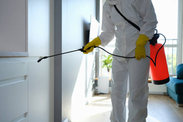 Mold Removal for HVAC Installations in Drexel Hill, PA