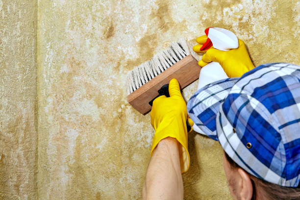 Best Indoor Air Quality Assessment  in Drexel Hill, PA