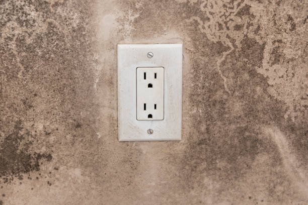 Best Dehumidification Services  in Drexel Hill, PA